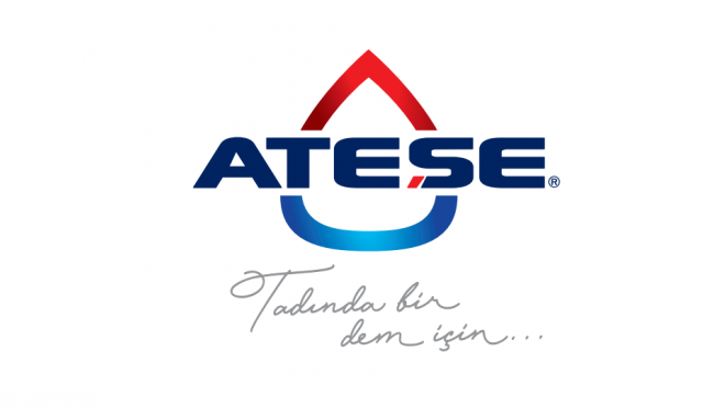 Innovative representative of the sector; ATESE